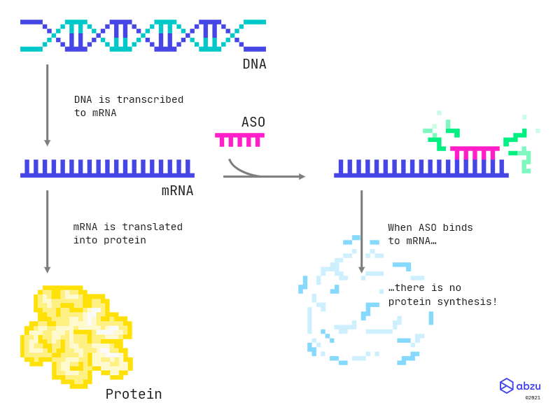 Using R and Feyn for antisense olignucleotides
